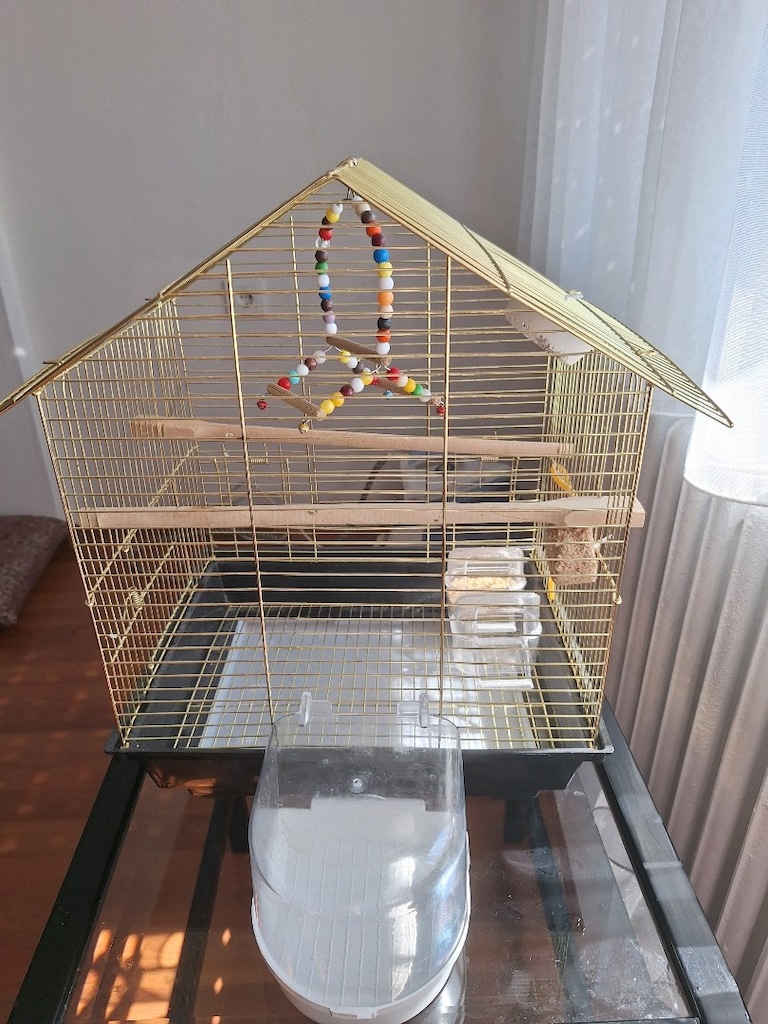 MUHABBET KUŞU KAFESİ - 2