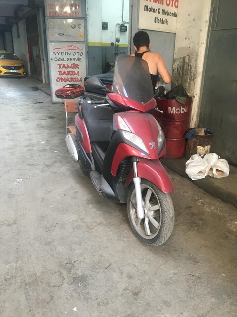 peugeot geopolis 250