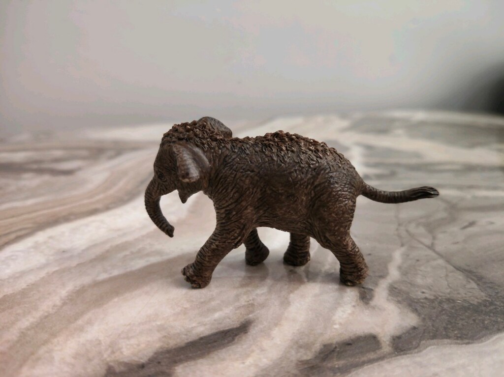 Schleich yavru fil - 2