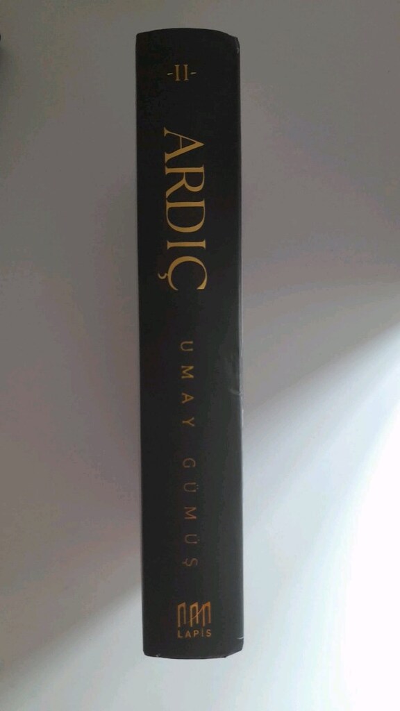 Kitap Ardıç 2 Umay Gümüş - 4