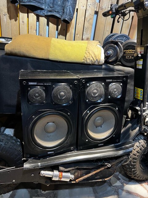 Yamaha ns20m