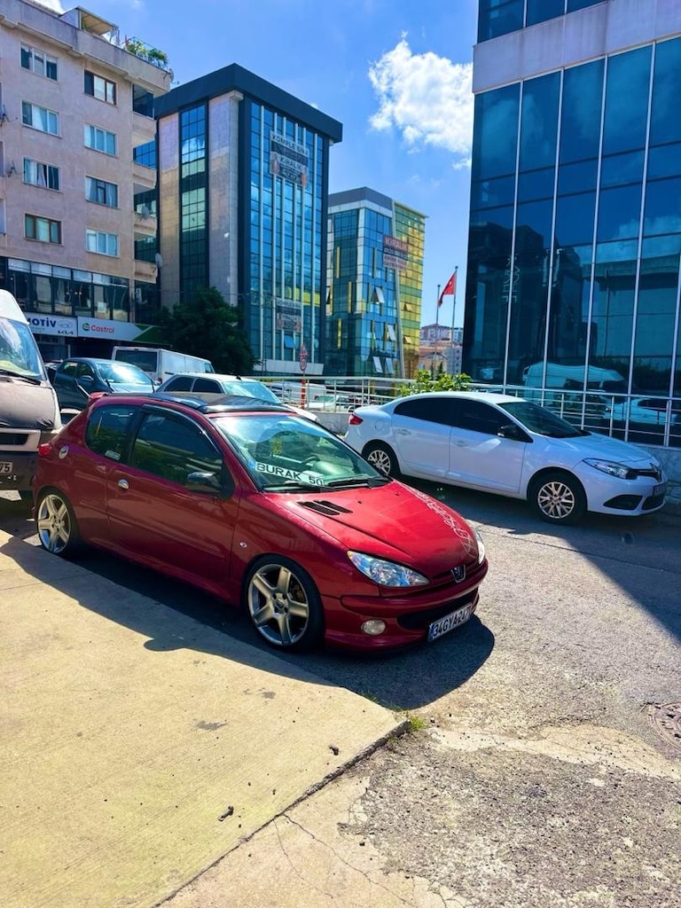 Tertemiz peugeot 206 - 8