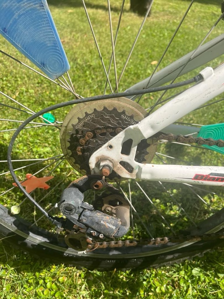 Bianchi Luca 24 Jant – 21 Vites Dağ Bisikleti - 4