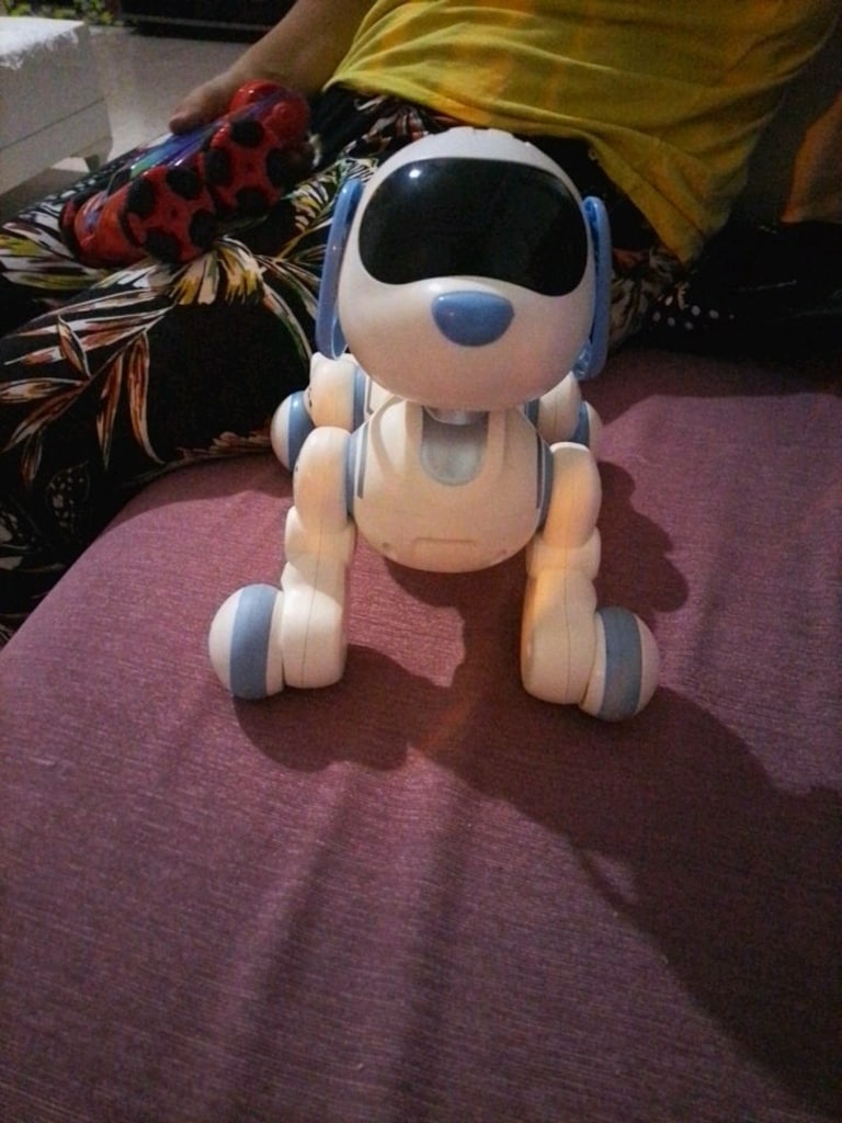 robot köpek - 3