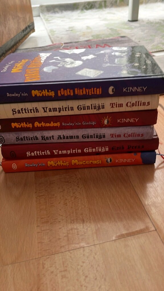 ADET FİYATIDIR saftirik kitap serisi detaylar açıklamada - 3