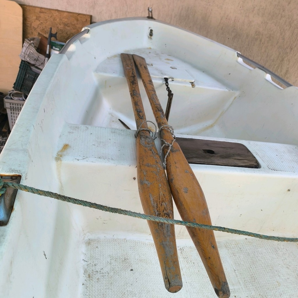 polyester kayık, Römork 9,9 evinrude kısa şaft 2 zamanlı - 4