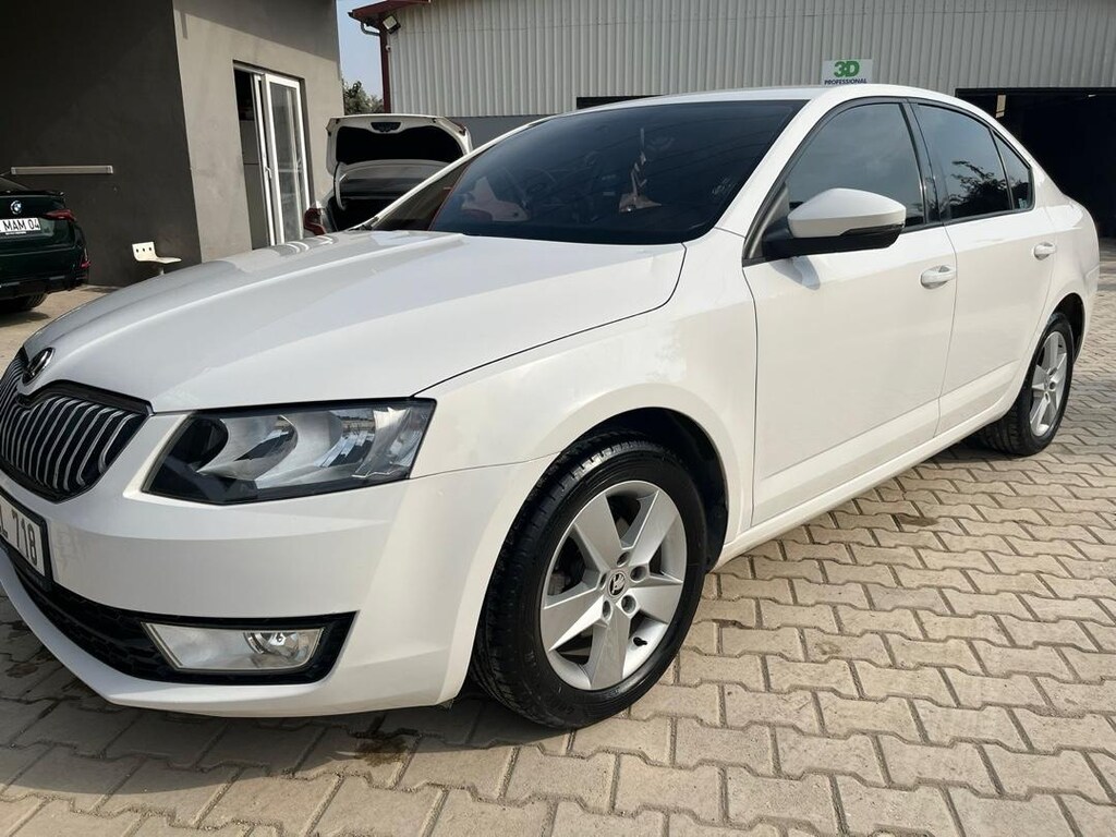 temiz octavia - 9