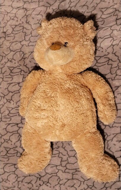 peluş ayı