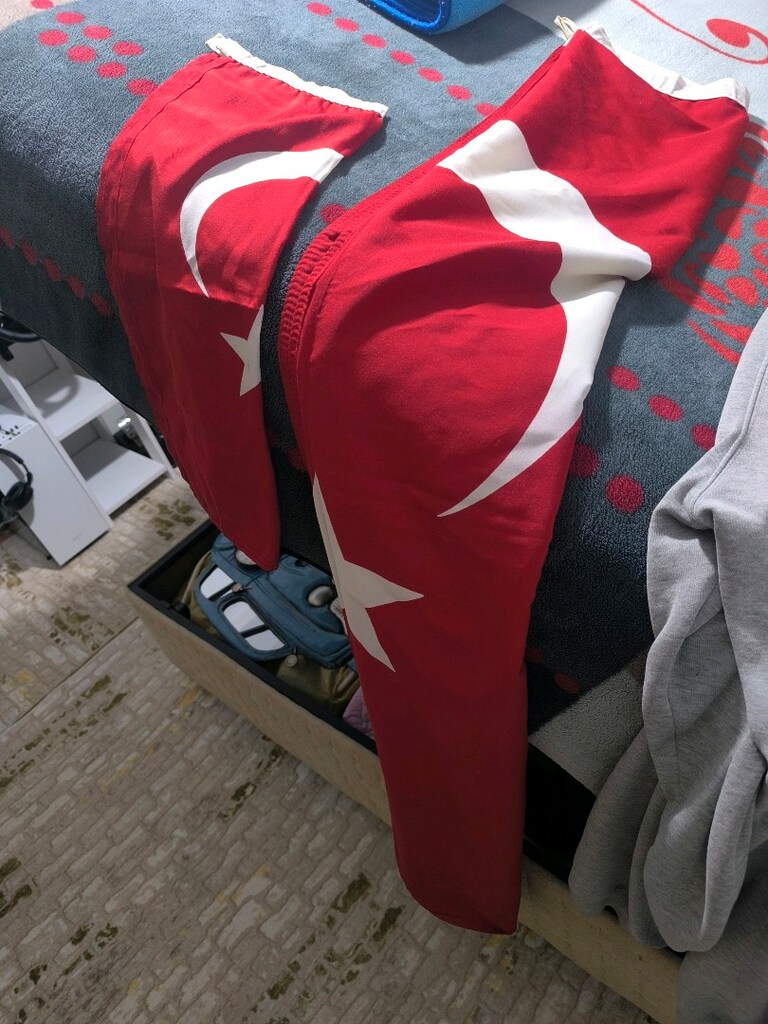 TÜRK bayrağı - 2