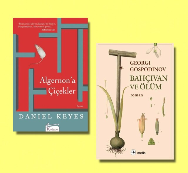 Algernon'a Çiçekler + Bahçıvan ve Ölüm (2 Kitap)