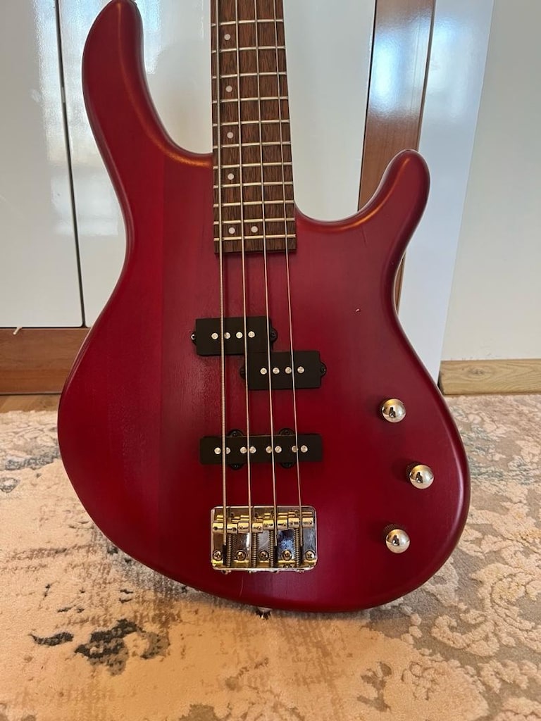 Bas gitar/Gitar - 3