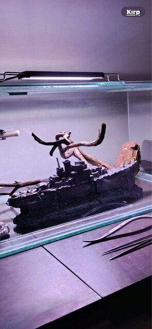 büyük boy 45 cm taş batık savaş gemisi akvaryum dekor hobby dekorasyon