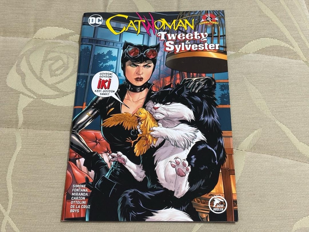DC Meets Looney Tunes Çizgi Romanları - 5