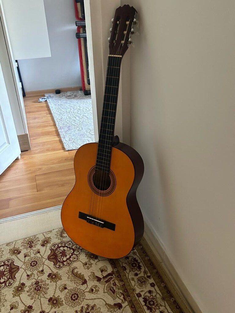tertemiz klasik gitar - 3