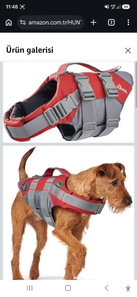 can yeleği köpek yüzme yeleği - 3