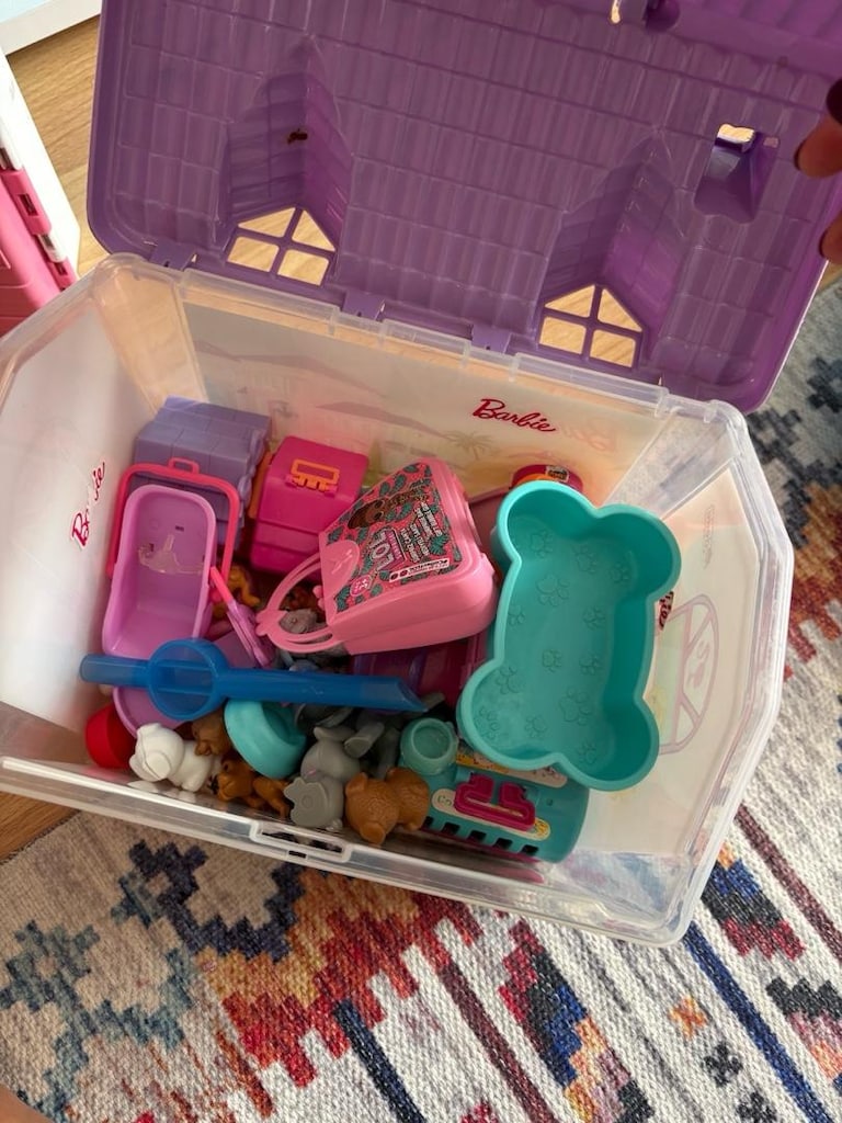Barbie Rüya evi - 9