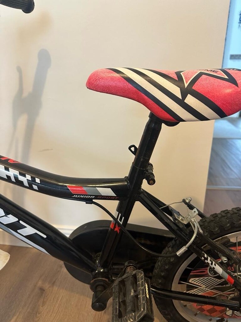 BMX Alpina 16 Jant Erkek Çocuk Bisikleti - 3