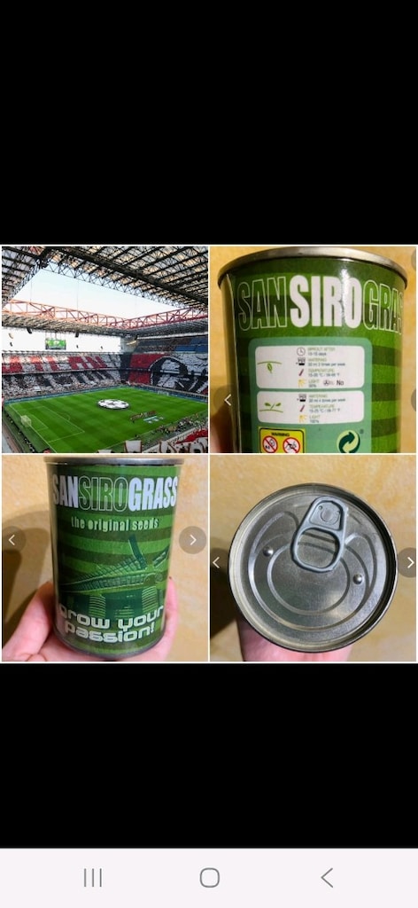 AC Milan Sansiro Stadı Çim Tohumu - 2