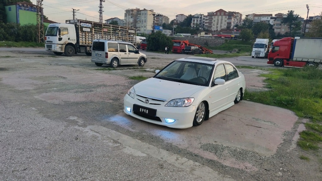41 bak - 3