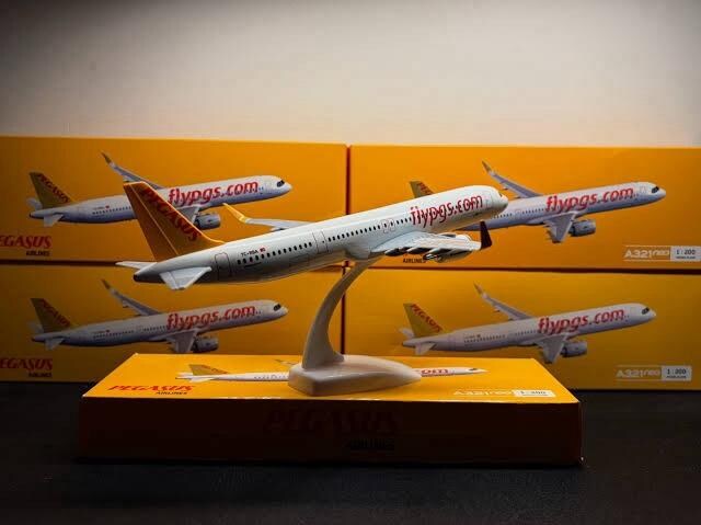 Pegasus Model Uçak 1/200 ölçek