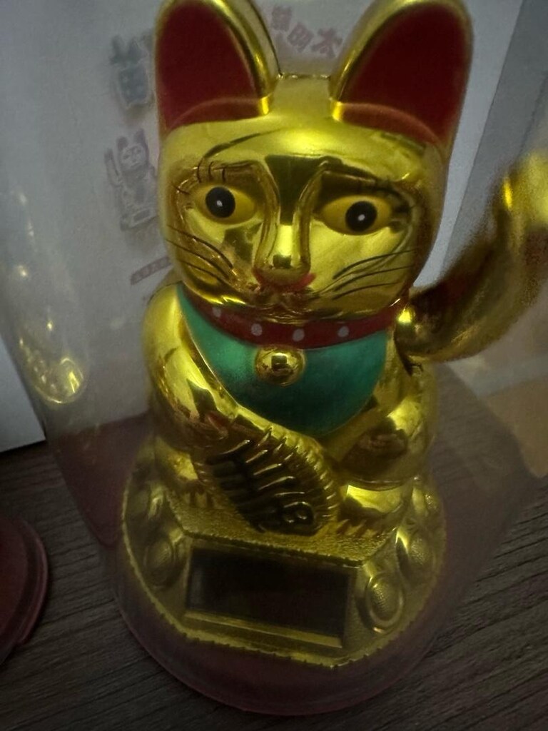 GÜNEŞ ENERJİLİ ŞANS KEDİSİ - 6