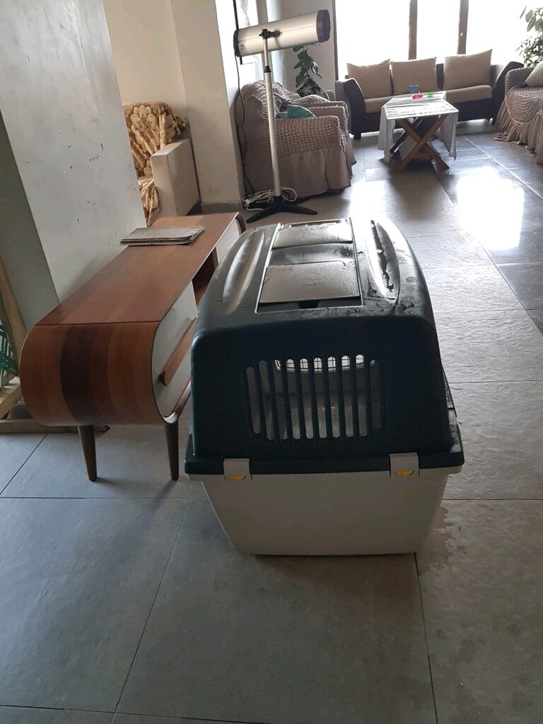 köpek taşıma çantası tekerlekli - 6
