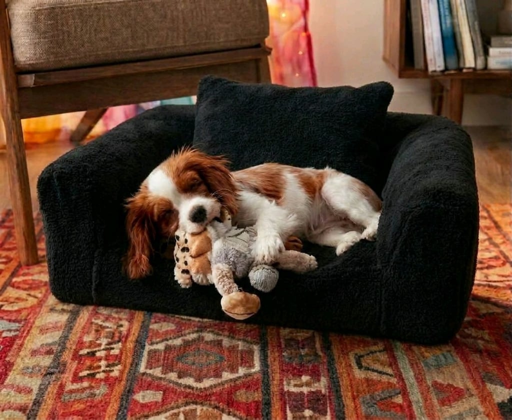 Siyah Mini Kedi & Köpek Yatağı Rahat ve Şık Tasarım - 2