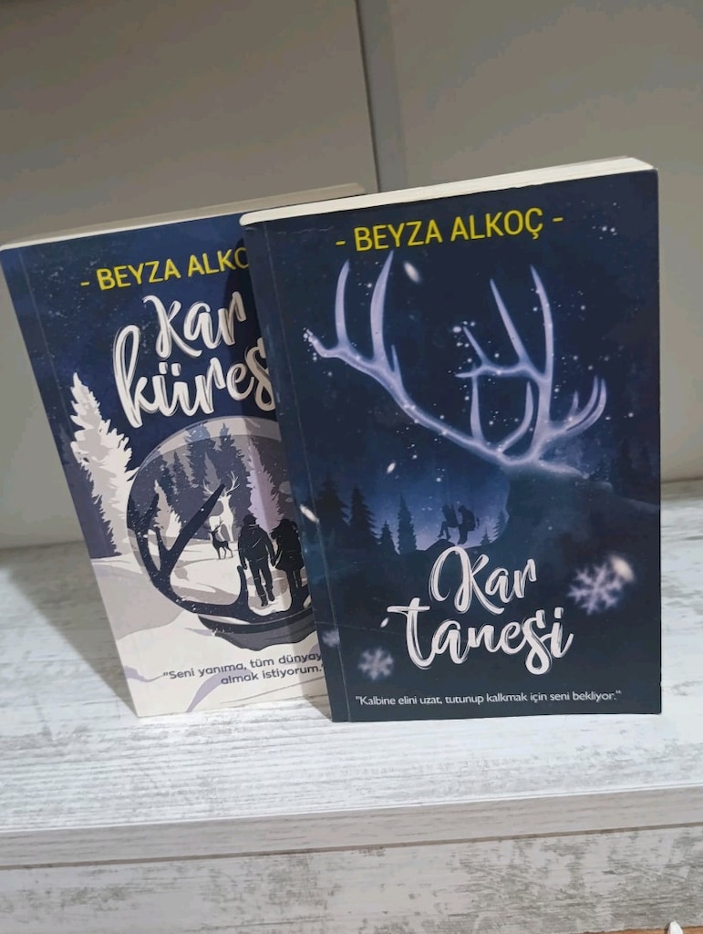 beyza alkoc kitapları - 4