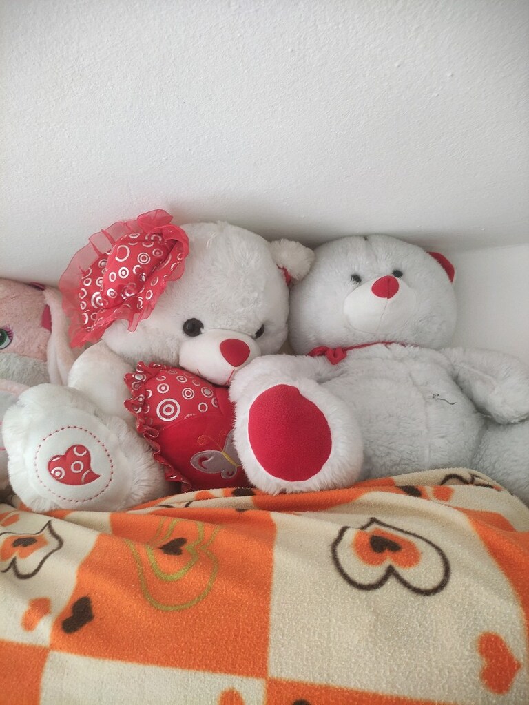Büyük Ayıcıklar - 3