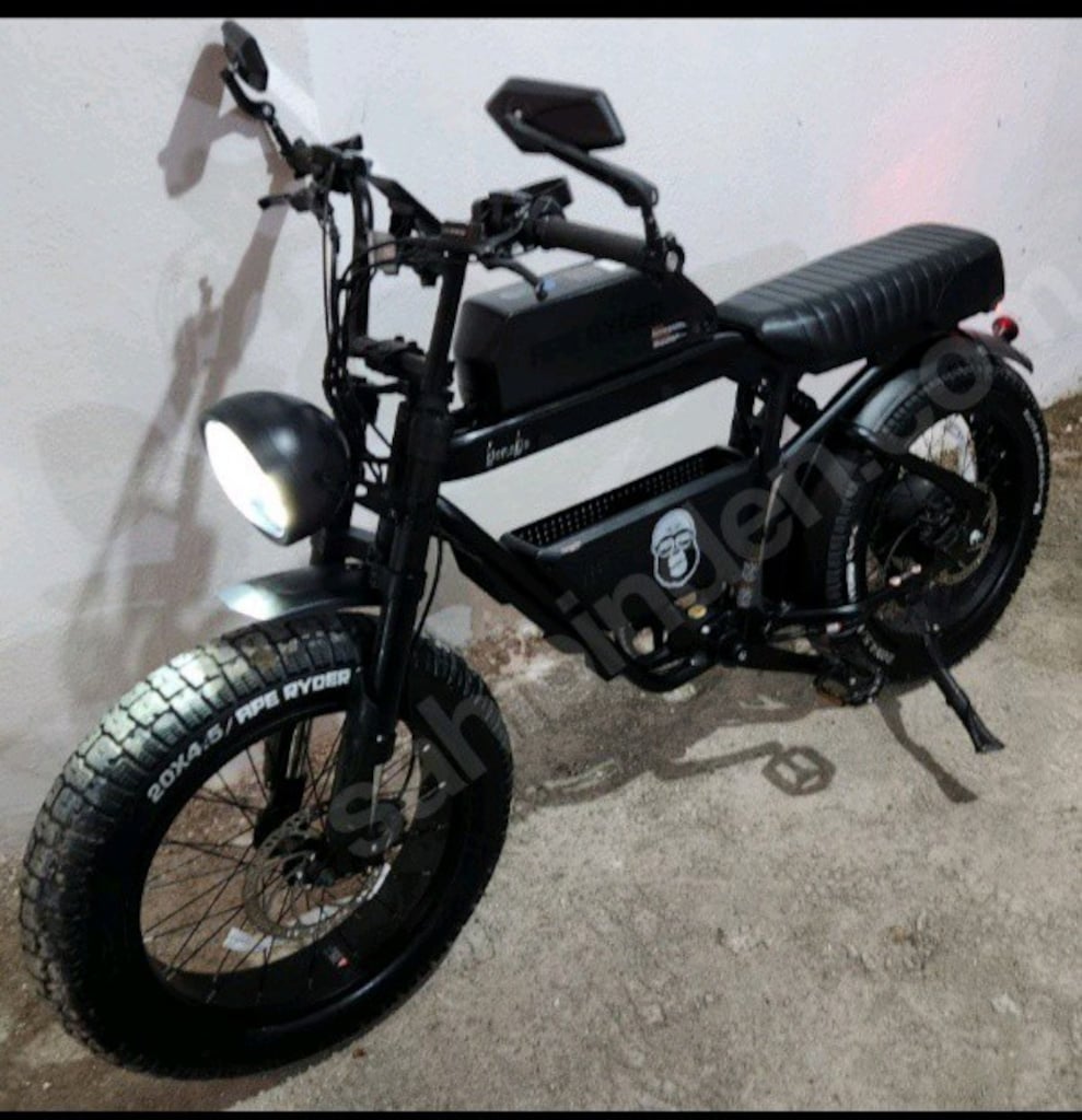 APE Ryder Bonobo (yurt dışı/off-road 750W versiyon Hidrolik disk fren - 4
