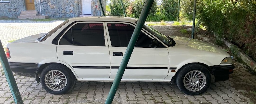 92 Fındık - 2