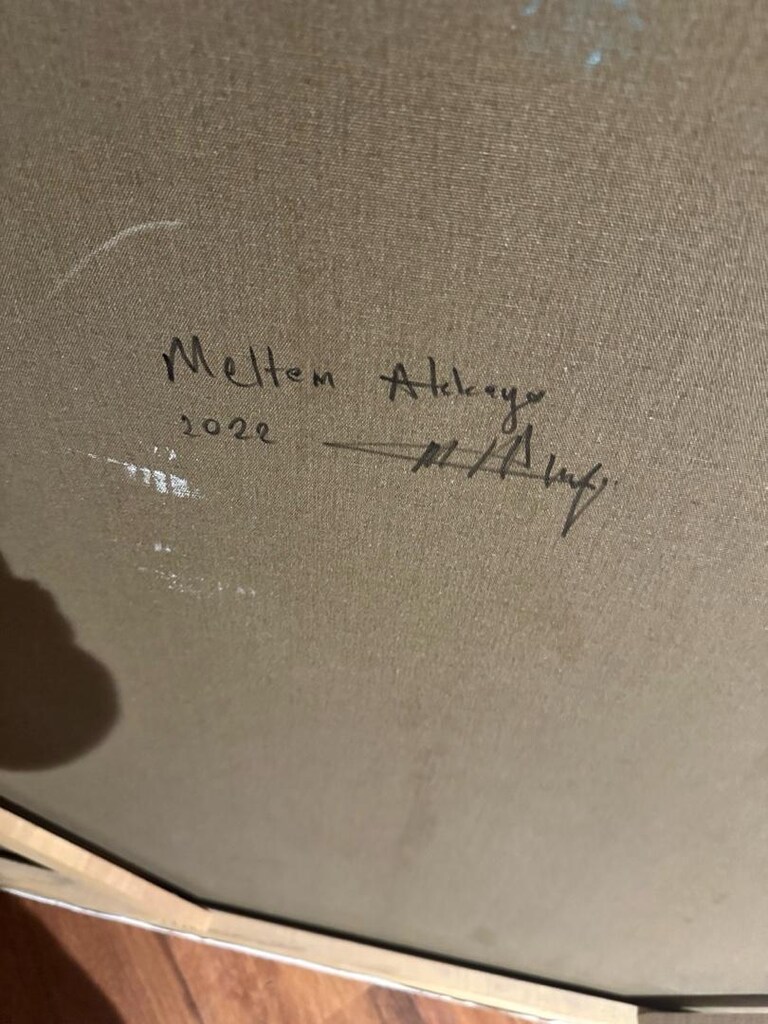 meltem akkaya tablo - 2