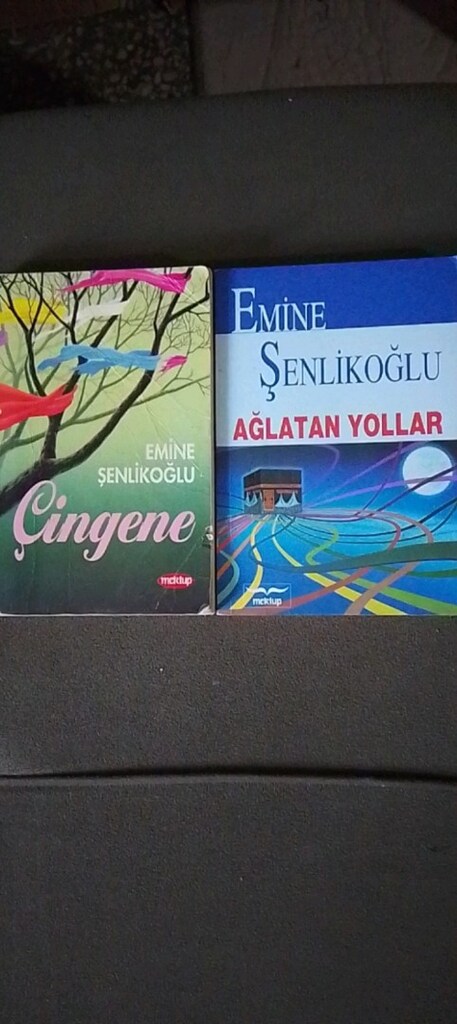 EMİNE ŞENLİKOĞLU KİTAPLARI - 9