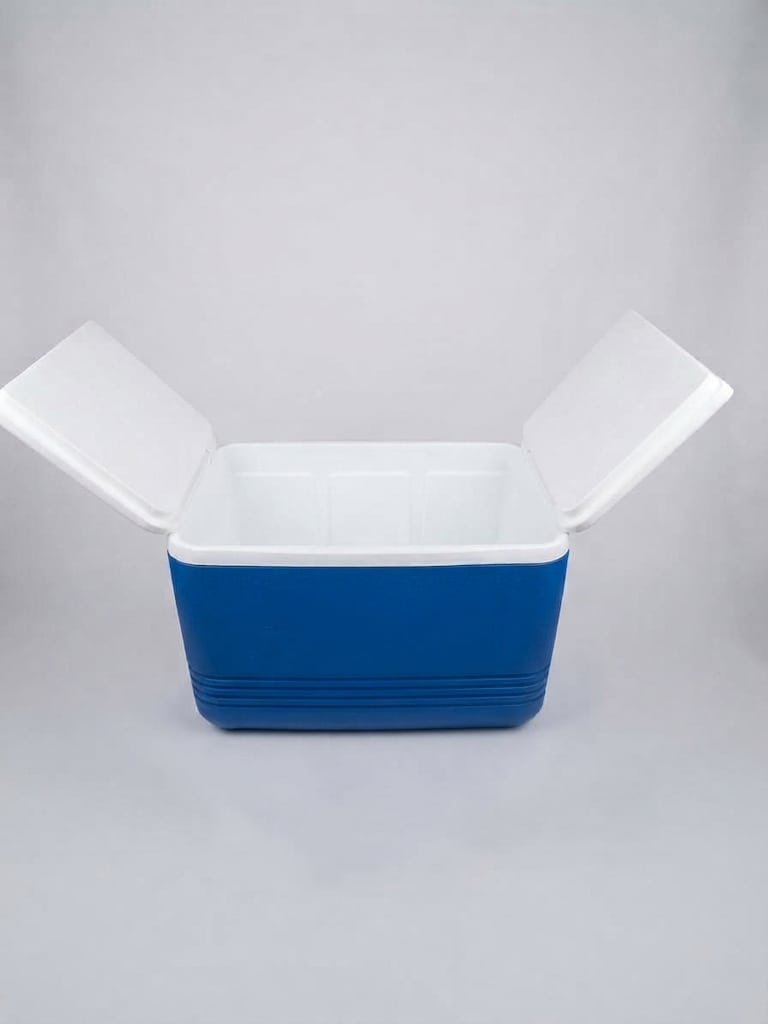 Cooler 60 lt Buzluk Termos - 2