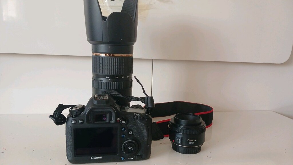 Canon 6d Full Frame -Tamron 70-200 usd di vc lens - 5