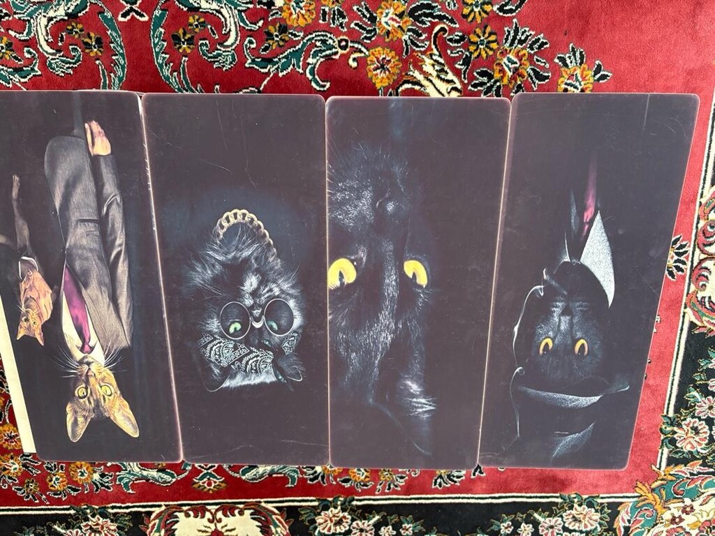 4 adet kedi temalı tablo - 3
