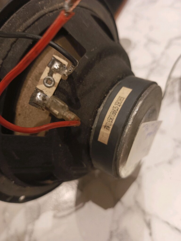 Hopörlör 2 Adet 50 waatt - 6