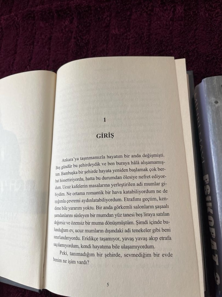 psikopat serisi mihri mavi iki kitap - 2