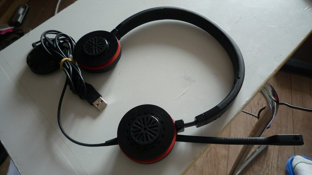 Jabra Evolve 20 Duo USB (HSC016) Mikrofonlu Kulak Üstü Kulaklık - 2