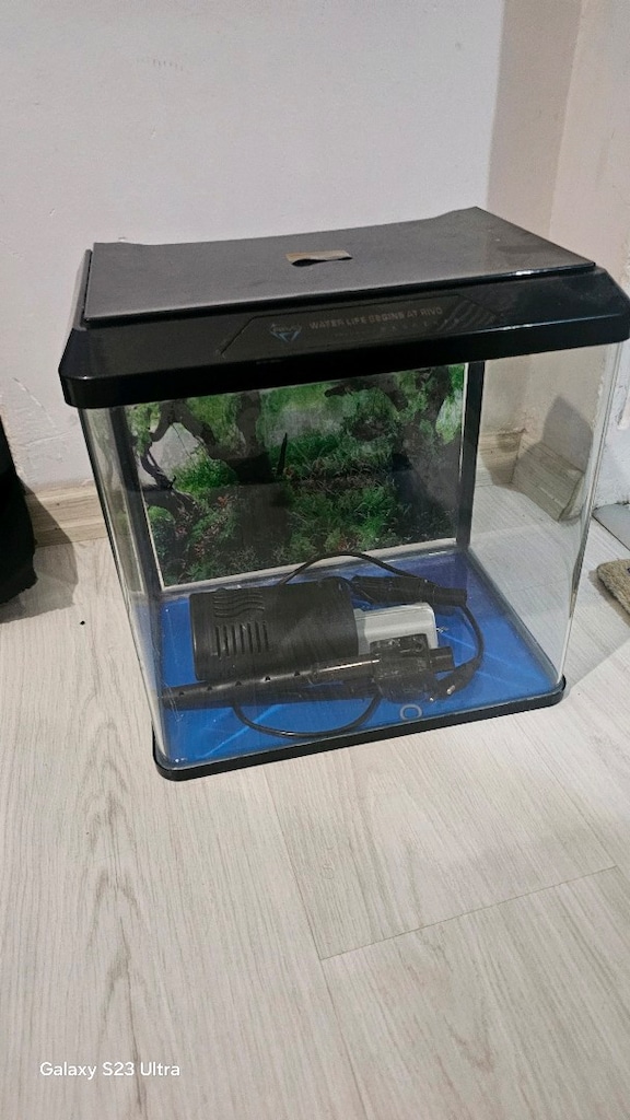 akvaryum - 2