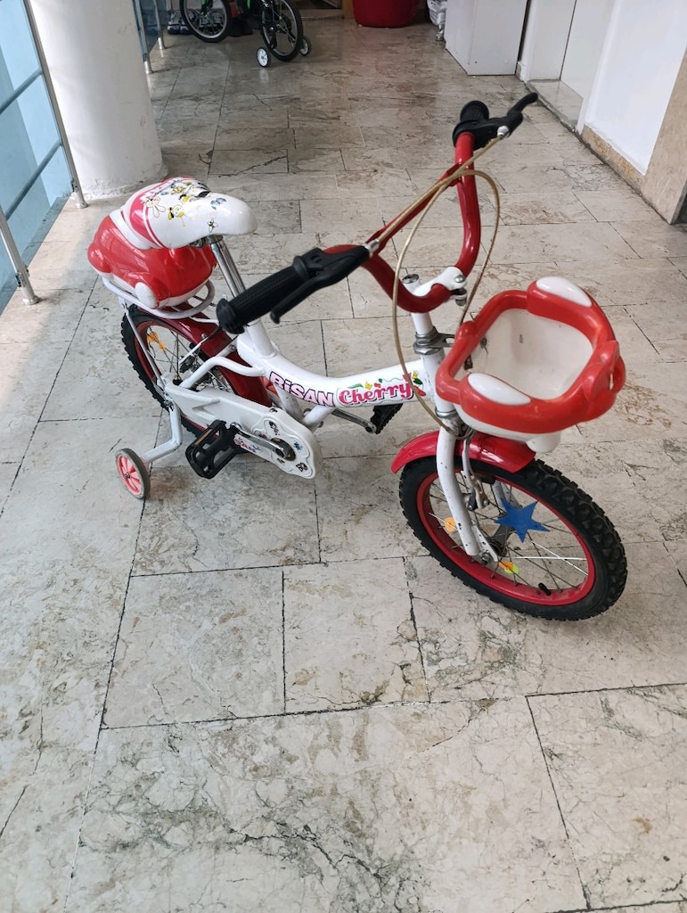 16 jant kız ve erkek çocuk bisikleti - 4