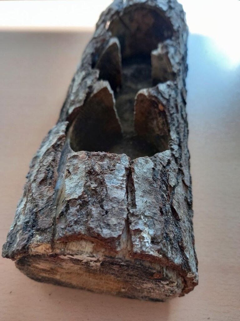 Kütük Mumluk - 12