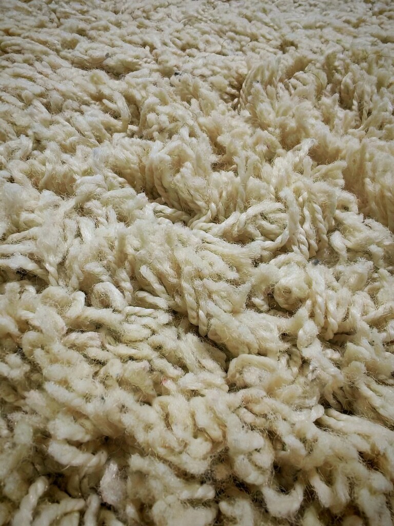 SARAY KIVIRCIK HALILAR - 6