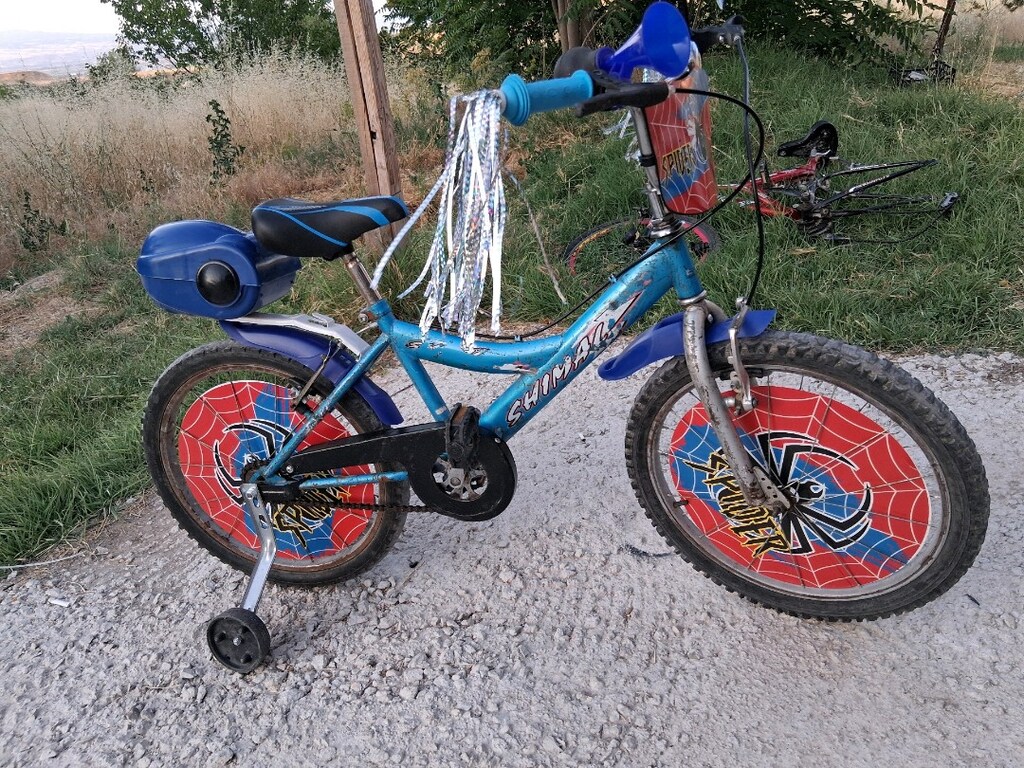 20 jant çocuk bisikleti - 5
