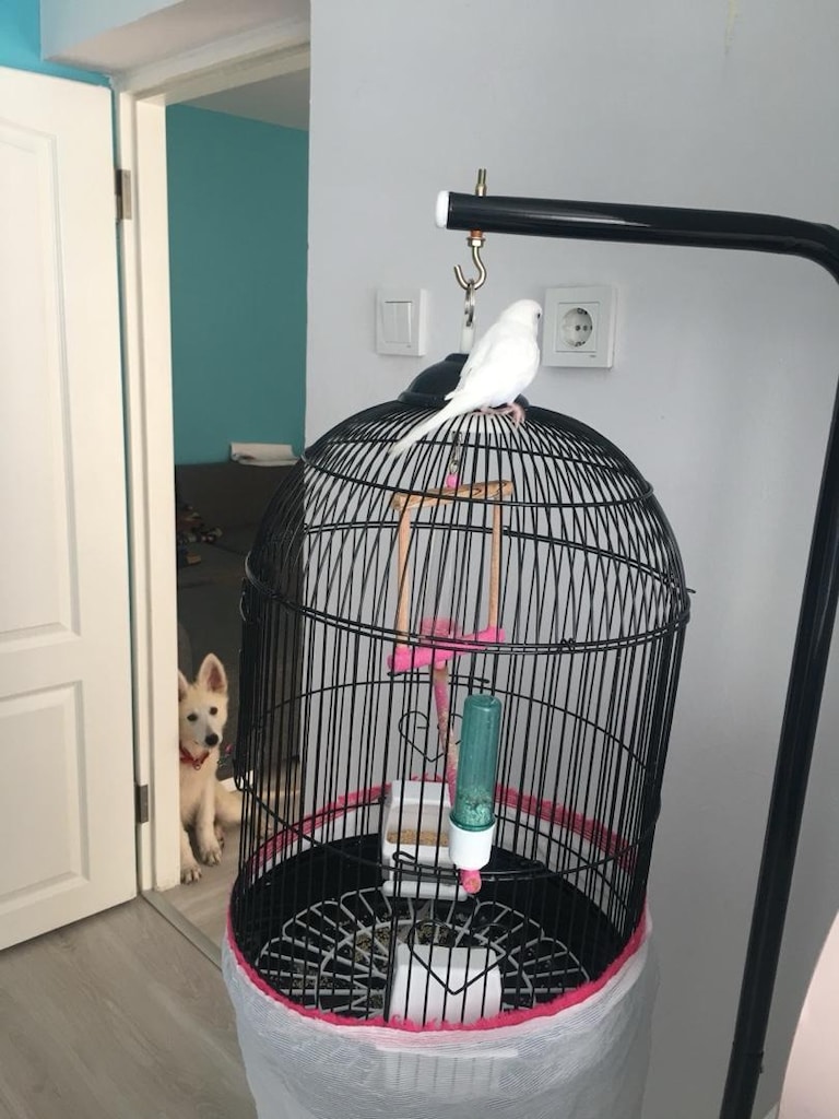 Best Cage Kuş Kafesi Siyah 34x63 cm Büyük Boy+150 cm Ayaklık - 2