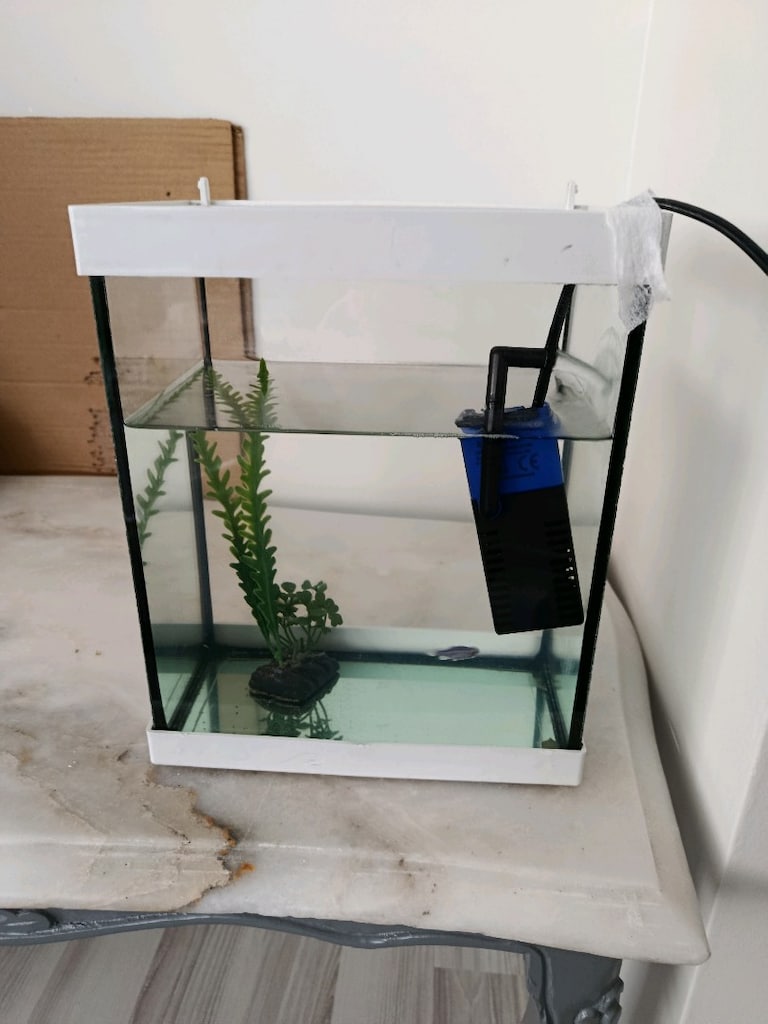 mini akvaryum - 2