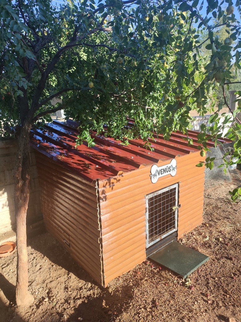 Köpek kafesi - 3