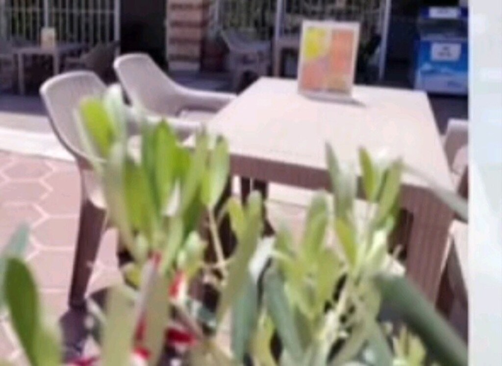 Ahşap ve Plastik Masa Sandalye Takımları - 4