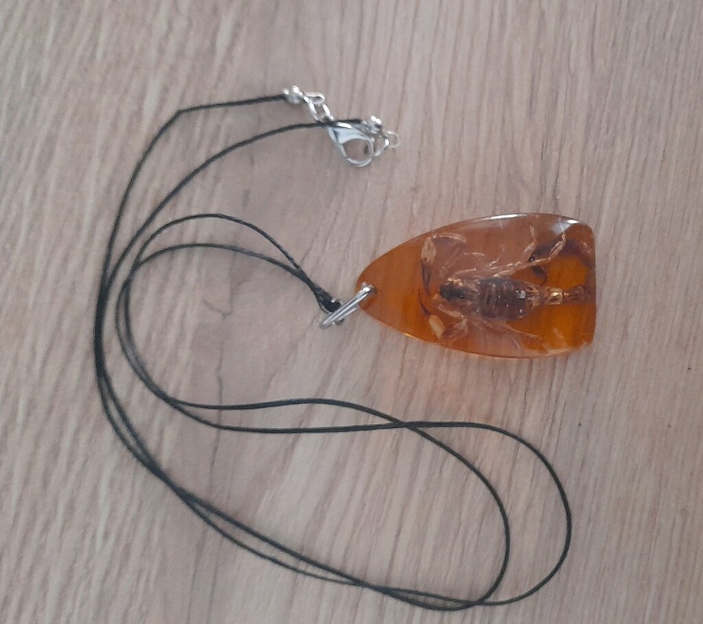 Reçine İçinde Akrep Kolye Ucu - 2