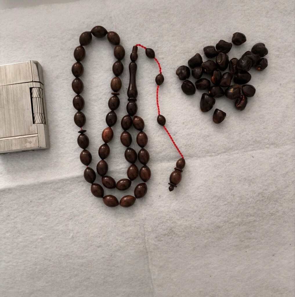 Demirhindi ağacı tesbih - 12